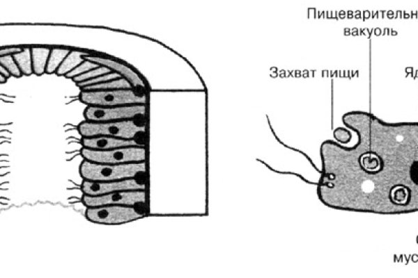 Тор для кракена