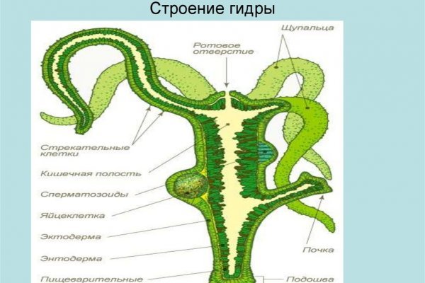 Что такое кракен в даркнете