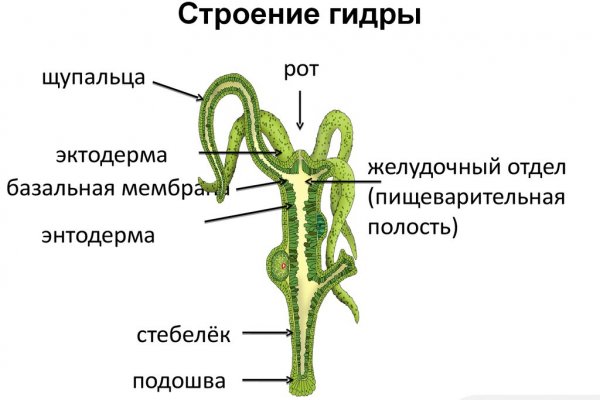 Регистрация кракен