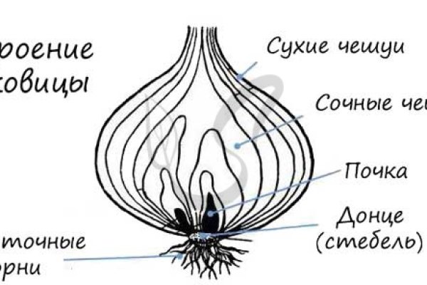 Как вывести с кракена